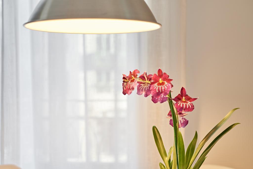 อปาร์ตาเมนโตส ปอนเต โนวา Apartment ปอร์โต ภายนอก รูปภาพ